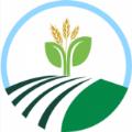  润盛世APP