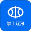  掌上辽汛app