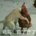  烂大街表情包