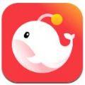 灯遇交友app官方最新版下载