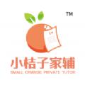  小桔子家辅最新版