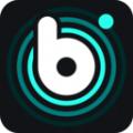 波点音乐app最新下载歌曲