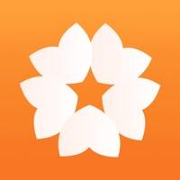 星星充电官网版