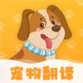 波奇猫语交流器客户端