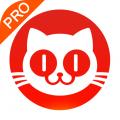 猫眼专业版最新下载2024版