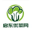优菜网app客户端