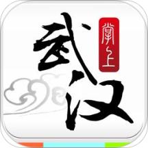 掌上武汉手机安卓版