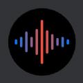 录音器专家