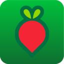 叮咚买菜最新版APP