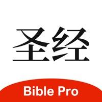 主内圣经中文版