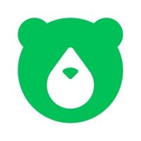 小熊油耗