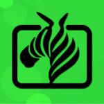 斑马视频app投屏