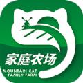 山里猫官方版