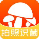 菌窝子下载安装2025版本