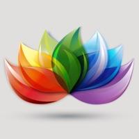 环世通货运代理