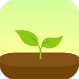 forest专注森林ios版