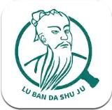 鲁般大数据app手机版