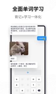 海词词典