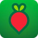 叮咚买菜配送app