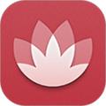 花粉俱乐部安卓app下载