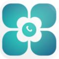 绿洲上网宝app最新版