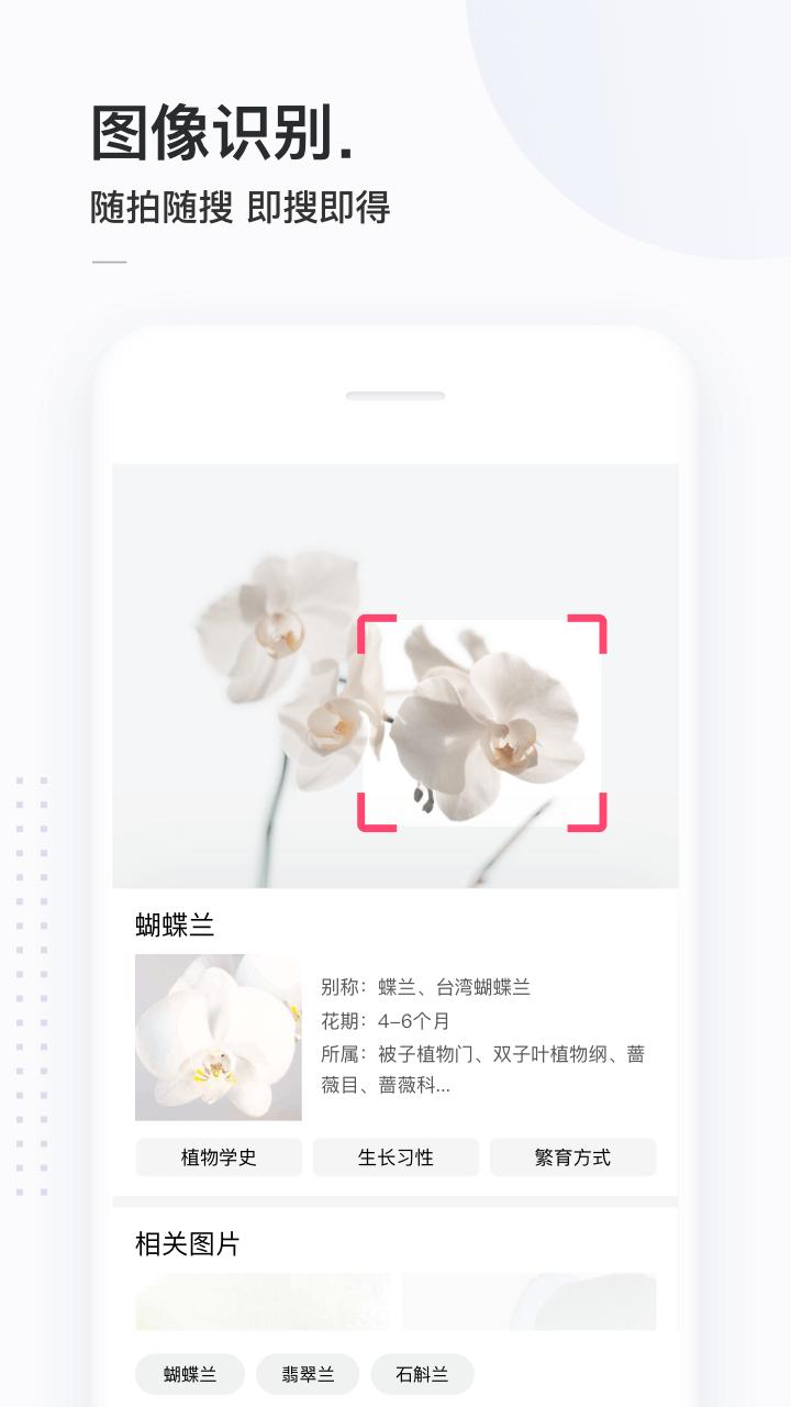 简单搜索旧版本下载