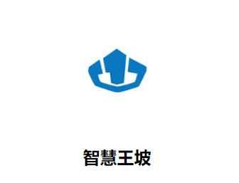 智慧王坡app下载