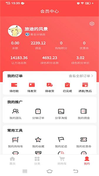 绿动牛仔