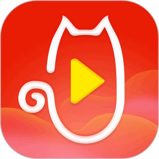 祝福猫视频