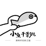 小鱼干影视4k