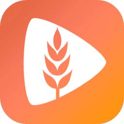 麦芽短剧