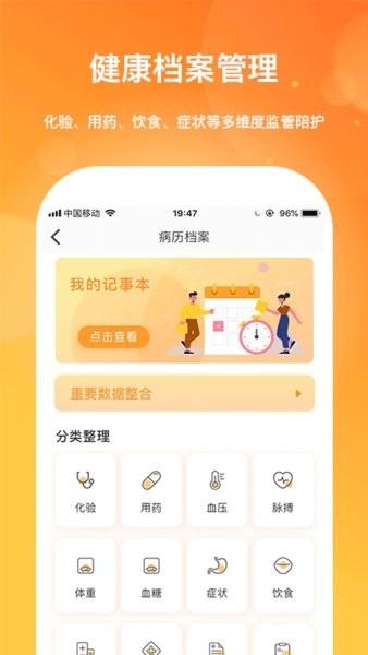 肾上线