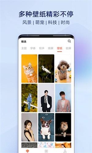 i主题12.3.6版本