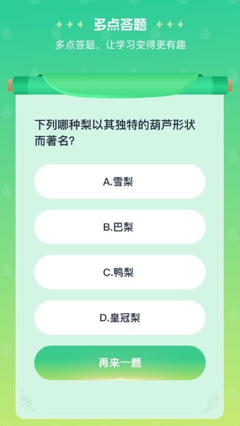 梨多点