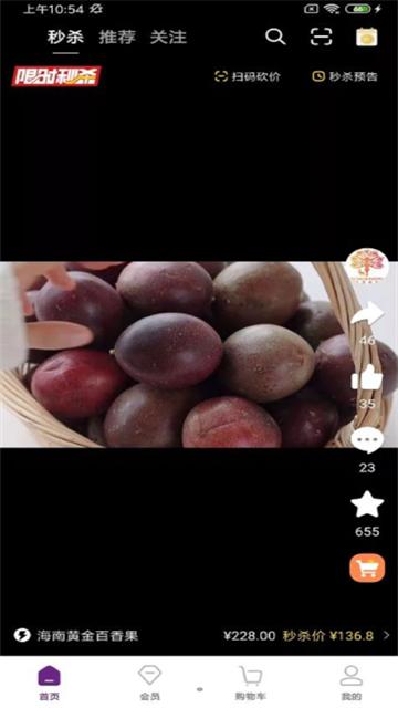 正鹭