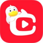 点淘赚钱版