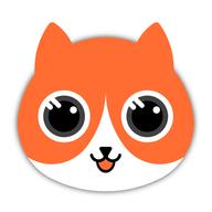 探心猫
