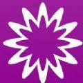 MathStudio
