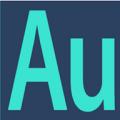 Audition