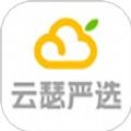 云瑟严选