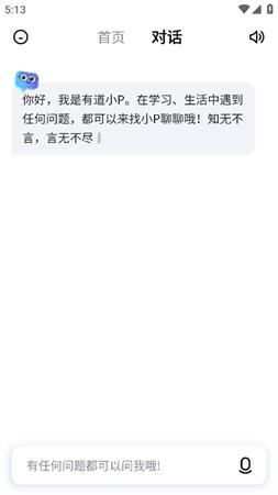 有道小p