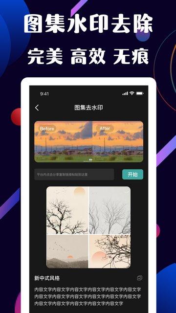 快捷去水印专业版