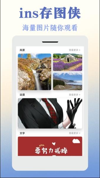 ins存图侠