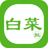 白菜批车app