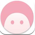 momo环境检测工具