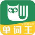 单词王