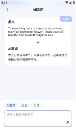有道小p