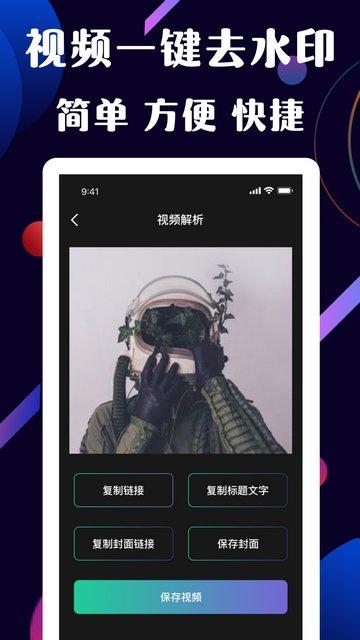 快捷去水印专业版
