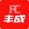 大丰宝